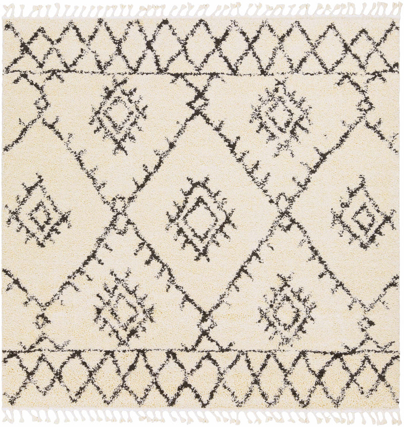 Emlenton Berber Shag Carpet