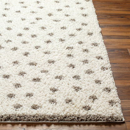 Chaia Dotted Cream & Gray Plush Rug - Decor Addict, LLC