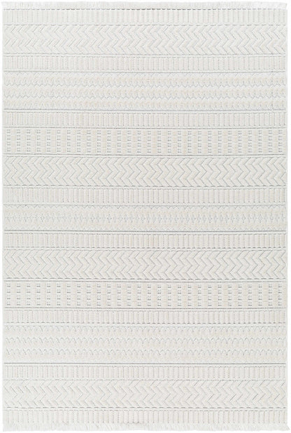 Cira Ivory Textured Area Rug with Fringes - Decor Addict, LLC