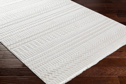 Cira Ivory Textured Area Rug with Fringes - Decor Addict, LLC
