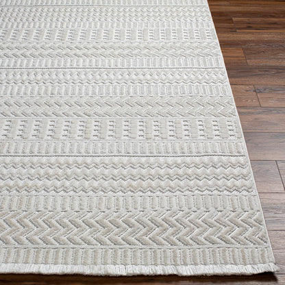 Cira Ivory Textured Area Rug with Fringes - Decor Addict, LLC