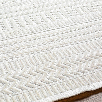 Cira Ivory Textured Area Rug with Fringes - Decor Addict, LLC