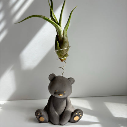 Bear Air Plant Holder: Black Noir - Decor Addict, LLC