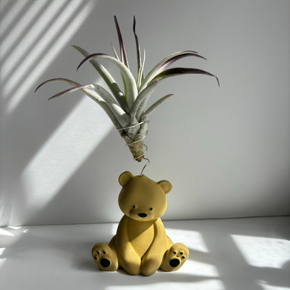 Bear Air Plant Holder: Black Noir - Decor Addict, LLC