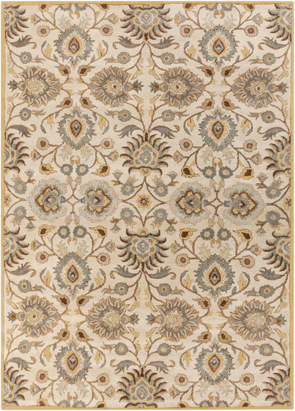 Conesus Hand Tufted Tan 1012 Wool Rug - Decor Addict, LLC