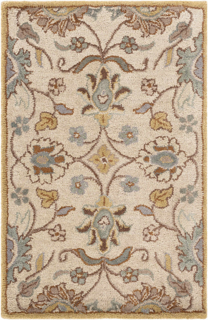Conesus Hand Tufted Tan 1012 Wool Rug - Decor Addict, LLC