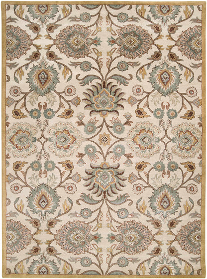Conesus Hand Tufted Tan 1012 Wool Rug - Decor Addict, LLC