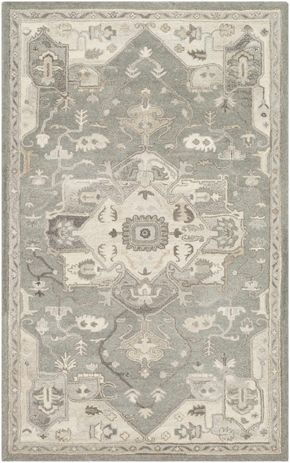 Broomfield Hand Tufted Taupe 1196 Area Rug - Decor Addict, LLC