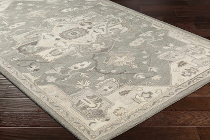 Broomfield Hand Tufted Taupe 1196 Area Rug - Decor Addict, LLC