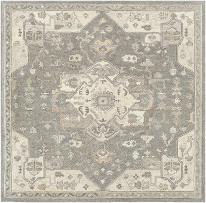 Broomfield Hand Tufted Taupe 1196 Area Rug - Decor Addict, LLC