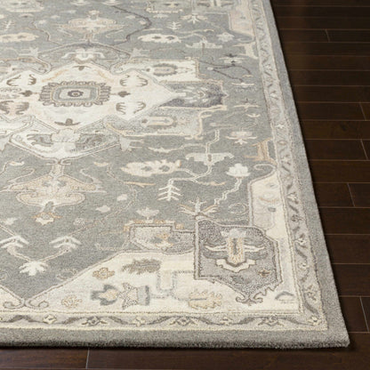 Broomfield Hand Tufted Taupe 1196 Area Rug - Decor Addict, LLC