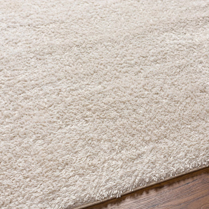 Heavenly Solid Beige Plush Rug - Decor Addict, LLC