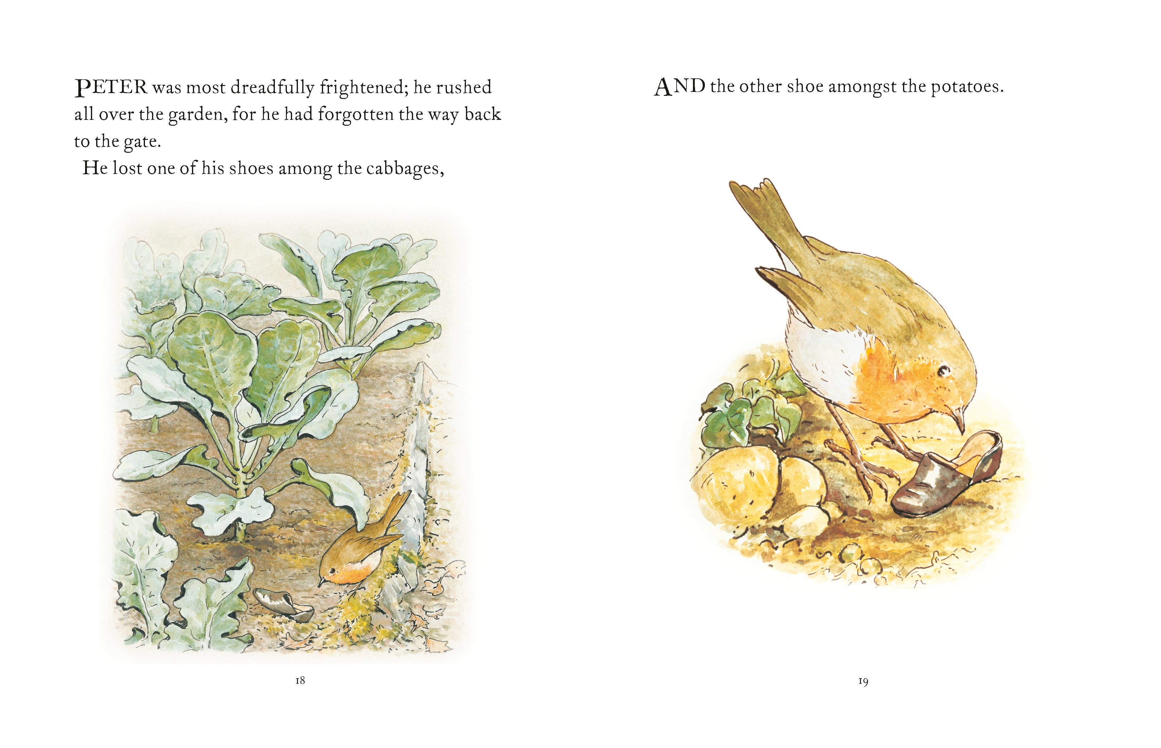 The Tale Of Peter Rabbit - Decor Addict, LLC