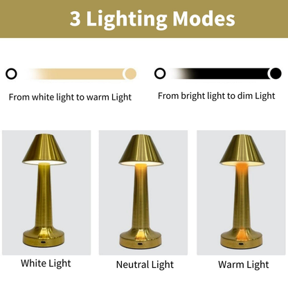 Modern Touch Sensor LED Lamp with USB Charging-Retail Pack: Gold - Decor Addict, LLC