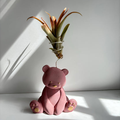 Bear Air Plant Holder: Pink - Decor Addict, LLC