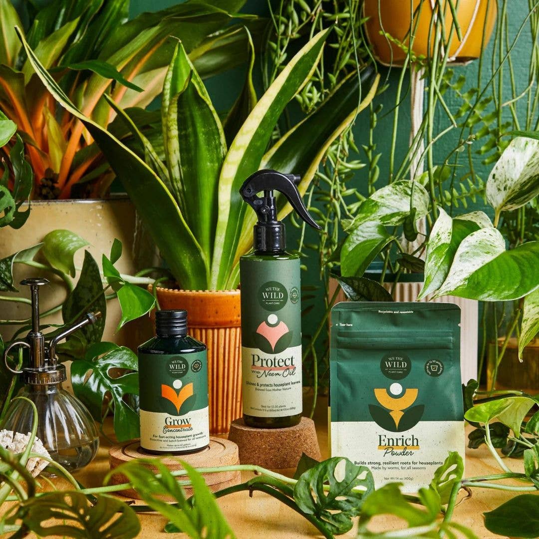 Houseplant Care Taster Kit - Decor Addict, LLC