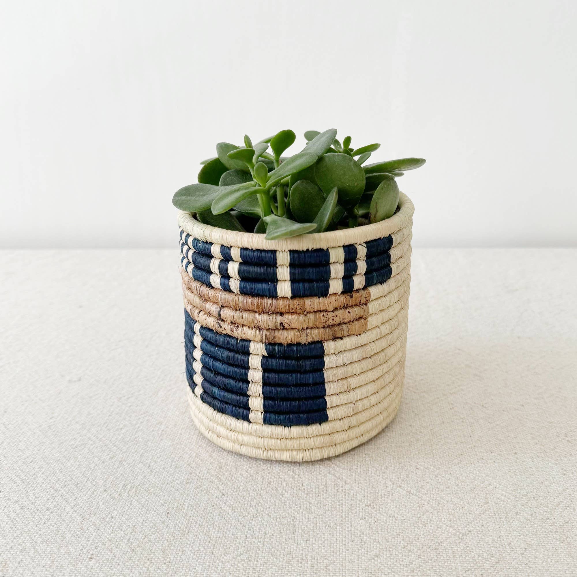 Storage Plant Basket Collection: Bamba