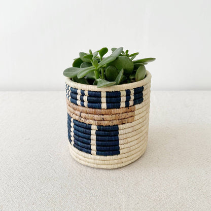 Storage Plant Basket Collection: Bamba