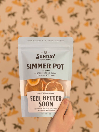 Feel Better Soon Simmer Pot | Orange Peppermint Eucalyptus - Decor Addict, LLC