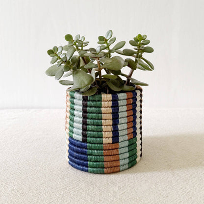 Storage Plant Basket Collection: Shonga