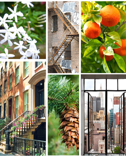 New York Scent Sticks - Decor Addict, LLC