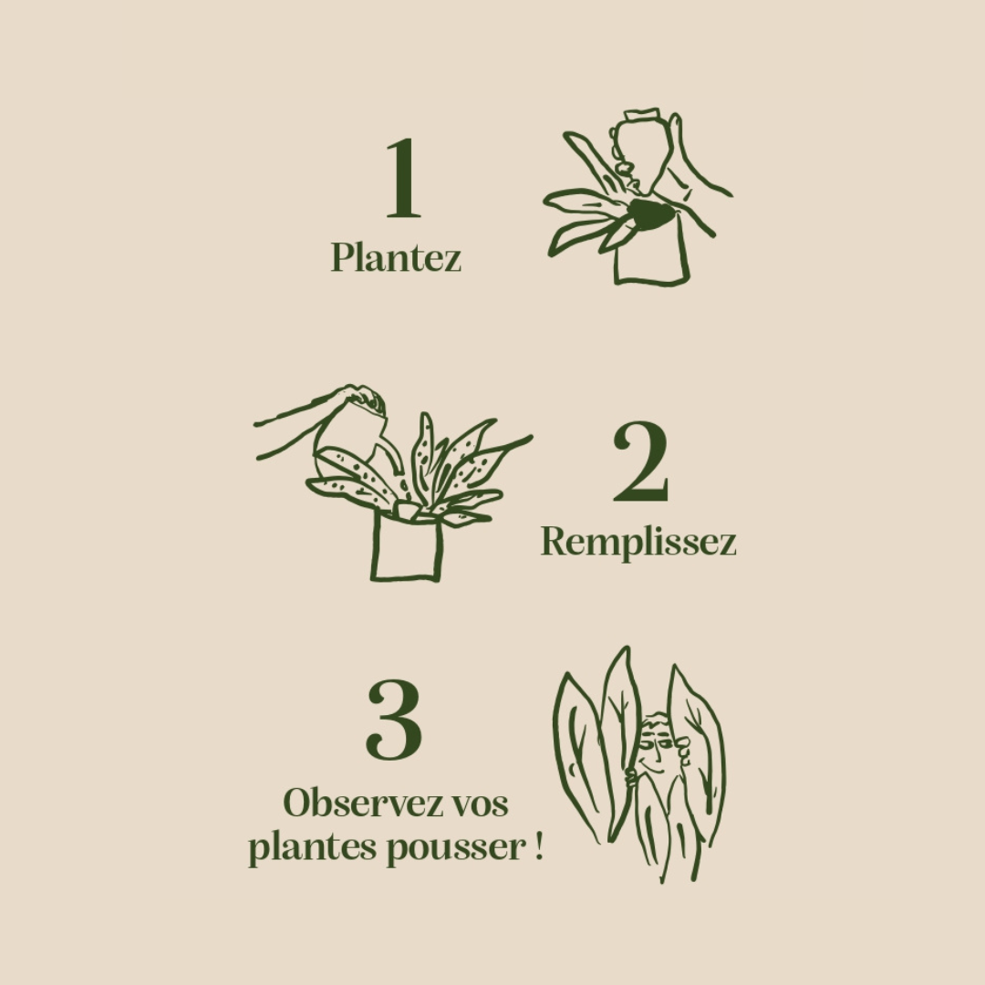 Olla - Green - Decor Addict, LLC