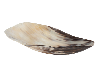 Versatile Bagala Horn Decor / Display Bowl - Decor Addict, LLC