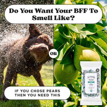 Pet~Pourri - Pet Coat Wipes - 50ct - Pawsitively Fresh Scent - Decor Addict, LLC