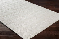 Bolinger Wool Area Rug - Decor Addict, LLC