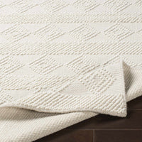 Bolinger Wool Area Rug - Decor Addict, LLC