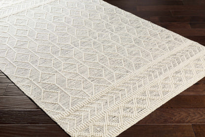 Carolina Wool Area Rug - Decor Addict, LLC