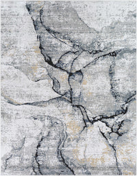 Fremantle Gray Marble Rug - Decor Addict, LLC