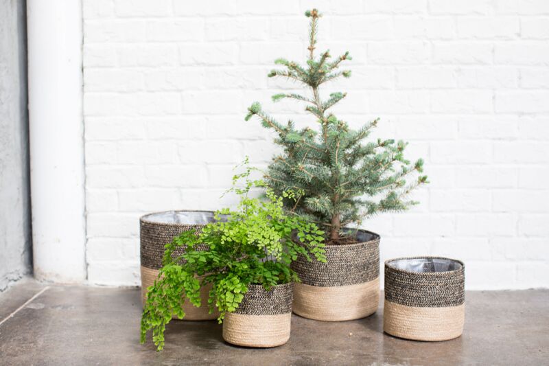 Black Jute Basket 12.25"x 10.75" - Decor Addict, LLC