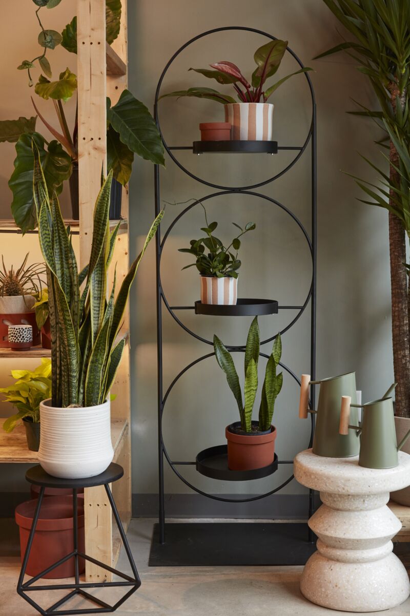 Decor Addict Kassara Plant Stand - Thumbnail 3