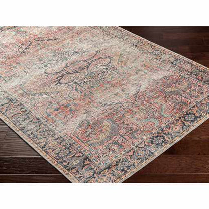 Pink Dunshaughlin Distressed Washable Area Rug - Decor Addict, LLC