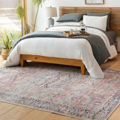 Pink Dunshaughlin Distressed Washable Area Rug - Decor Addict, LLC