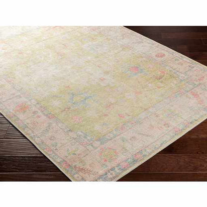 Bozkurt Distressed Washable Rug - Decor Addict, LLC