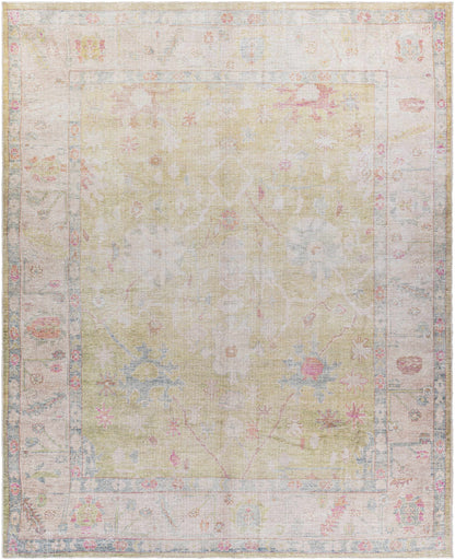 Bozkurt Distressed Washable Rug - Decor Addict, LLC