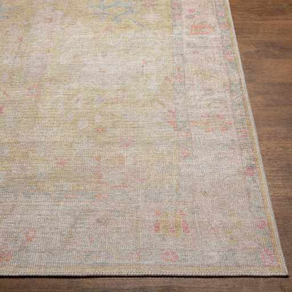 Bozkurt Distressed Washable Rug - Decor Addict, LLC