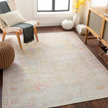 Bozkurt Distressed Washable Rug - Decor Addict, LLC