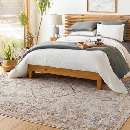 Brown Standon Vintage Washable Area Rug - Decor Addict, LLC