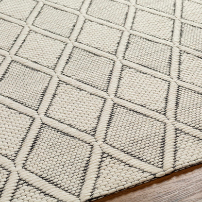 Aeron Wool Area Rug - Decor Addict, LLC