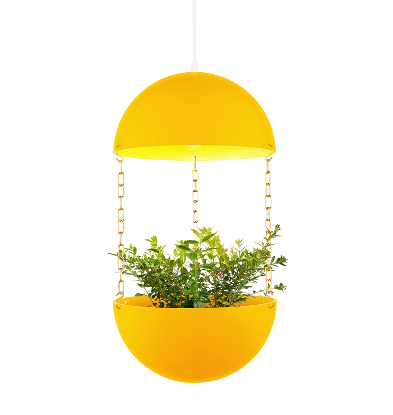 Pendant Planter - Decor Addict, LLC