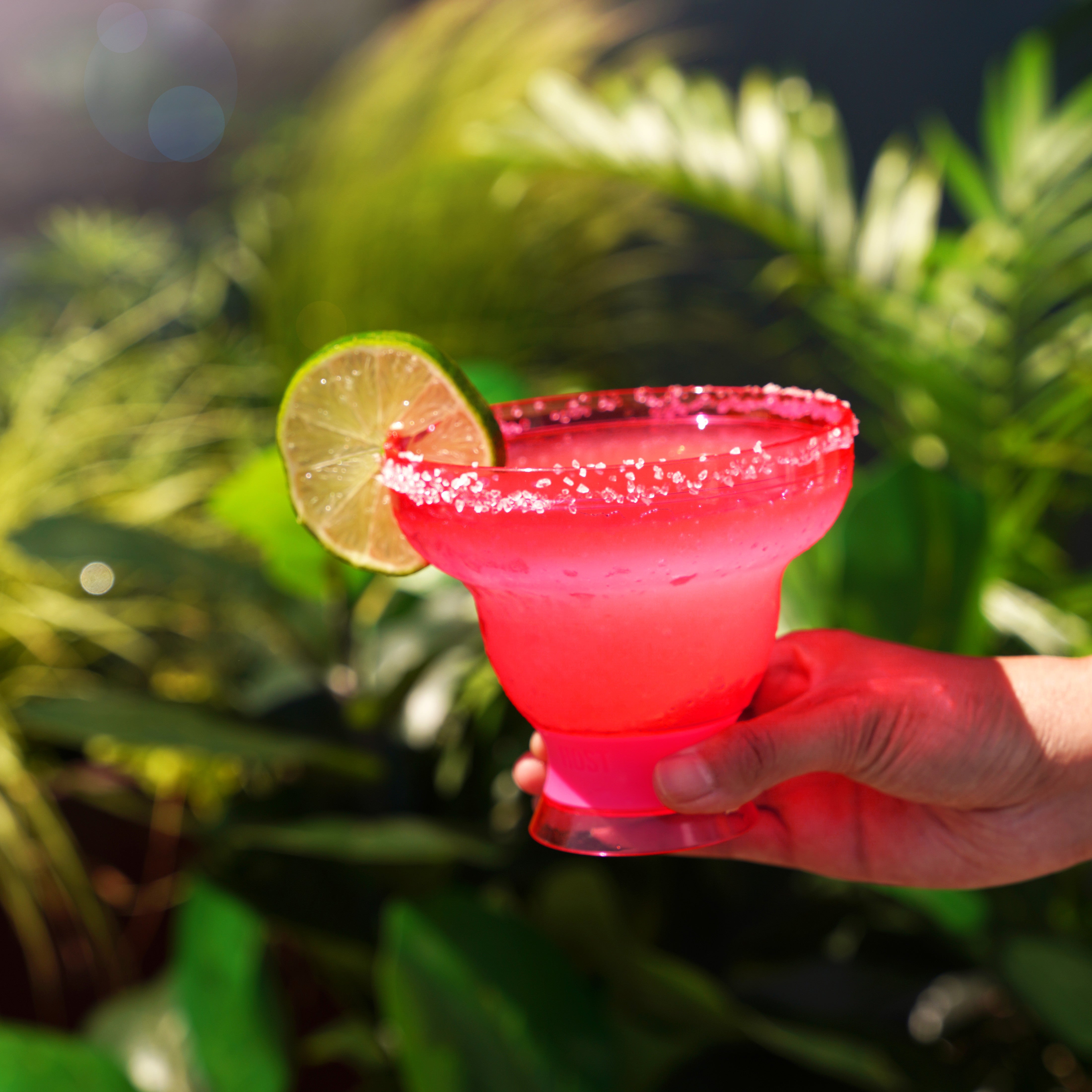 Margarita FREEZE™ in Punch Pink, Set of 2 - Decor Addict, LLC