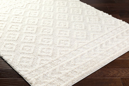 Eivin Cream Area Rug - Decor Addict, LLC