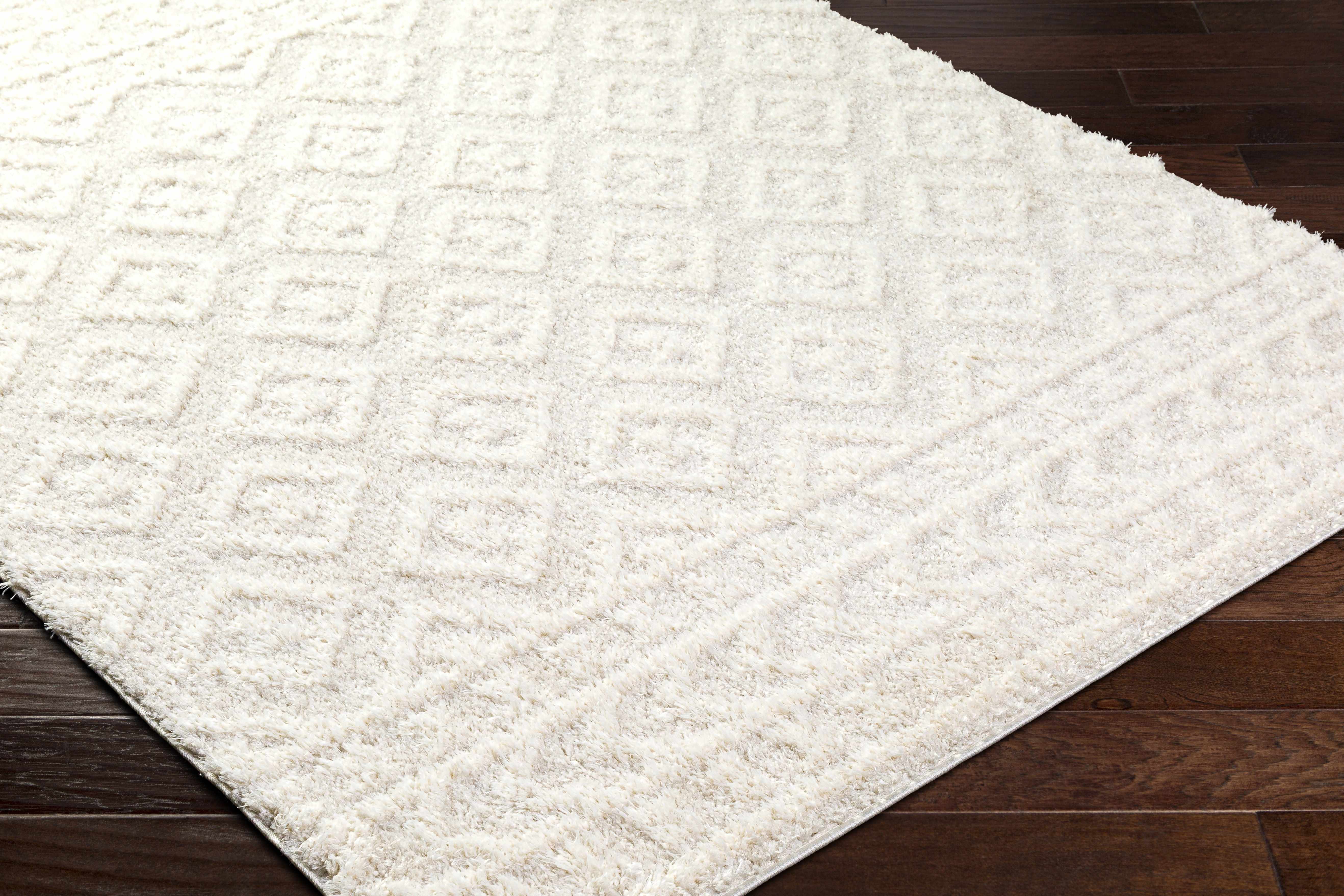 Eivin Cream Area Rug - Decor Addict, LLC