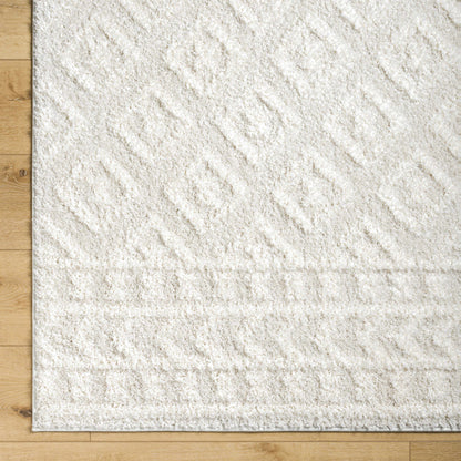 Eivin Cream Area Rug - Decor Addict, LLC