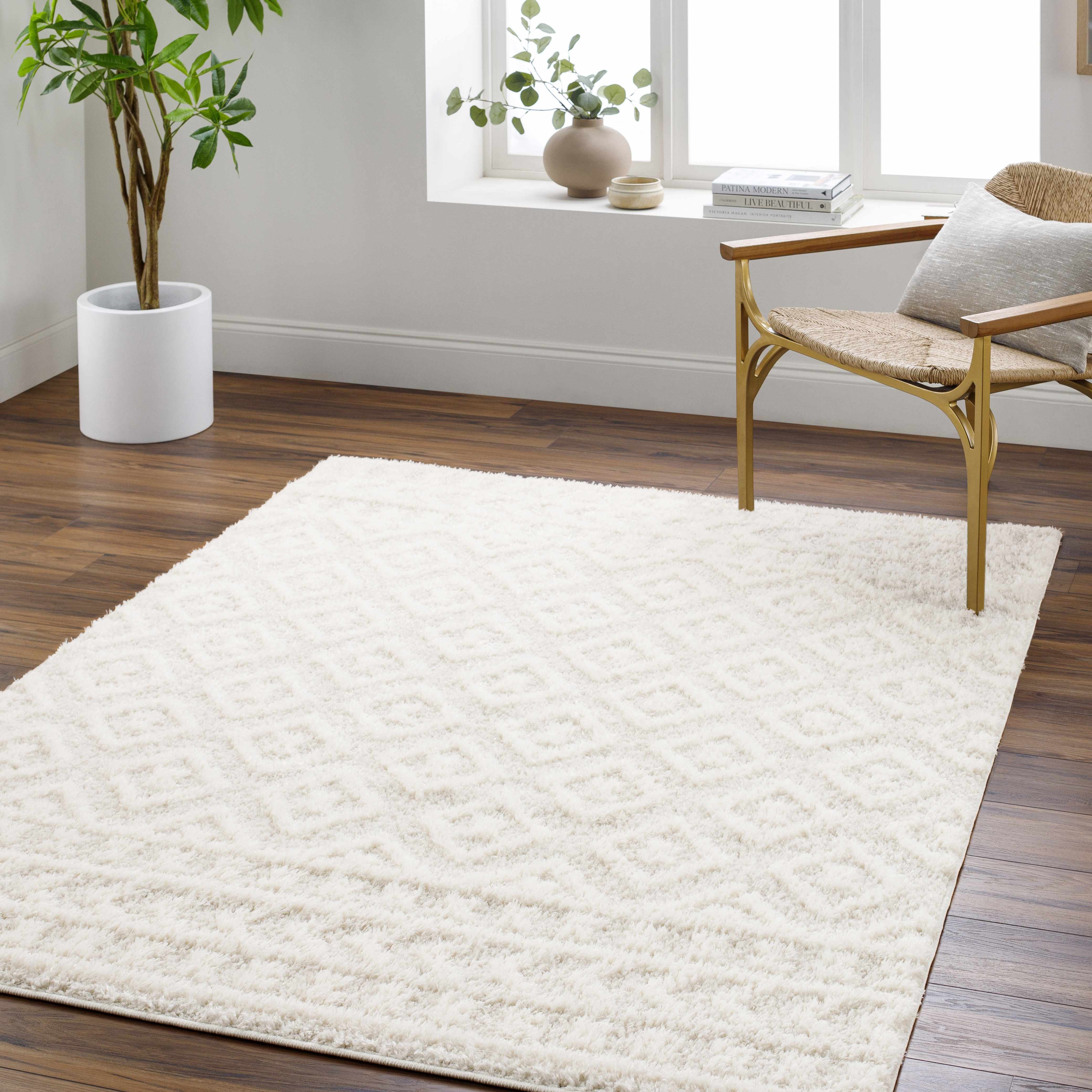 Eivin Cream Area Rug - Decor Addict, LLC