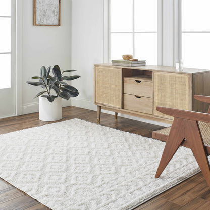 Eivin Cream Area Rug - Decor Addict, LLC