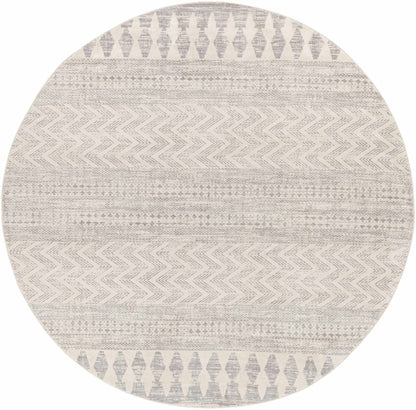 Chinnor Neutral Area Rug - Decor Addict, LLC